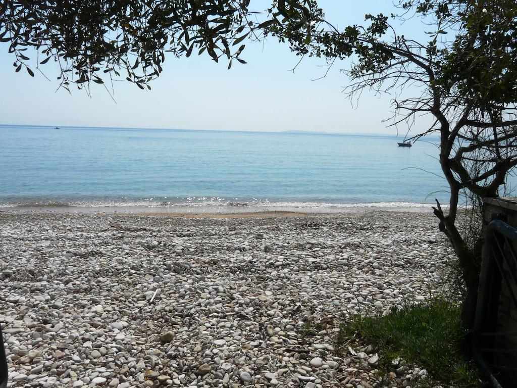 Villa Aliki Barbati Extérieur photo